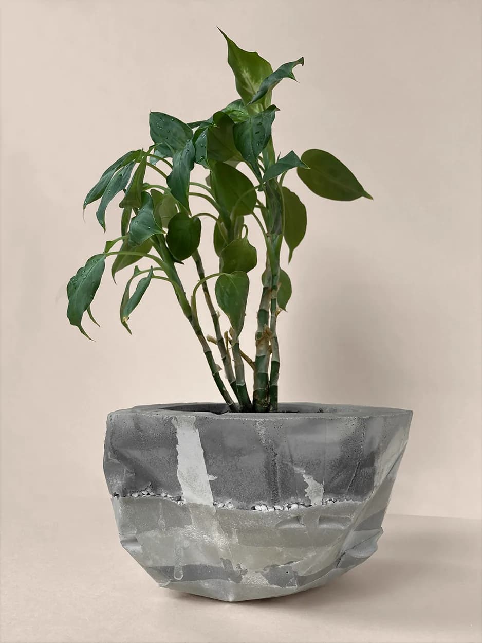 All the Layers — a faceted concrete vessel, planted