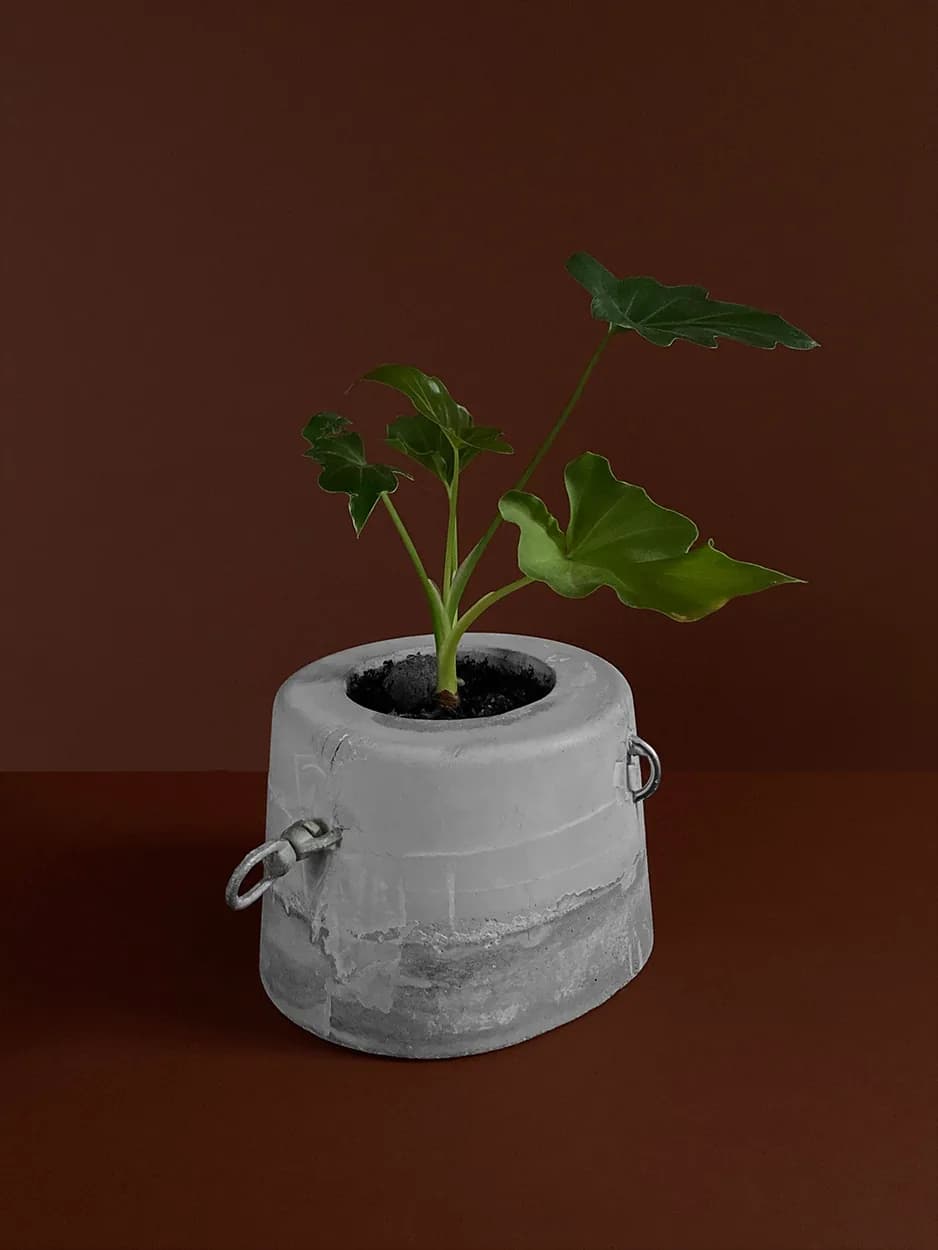 yet untitled — a bucket-shaped concrete vessel with D-rings, planted